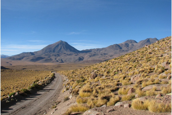 m__Altiplano plaskowyz kolo sairecabur